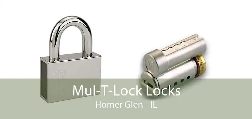 Mul-T-Lock Locks Homer Glen - IL