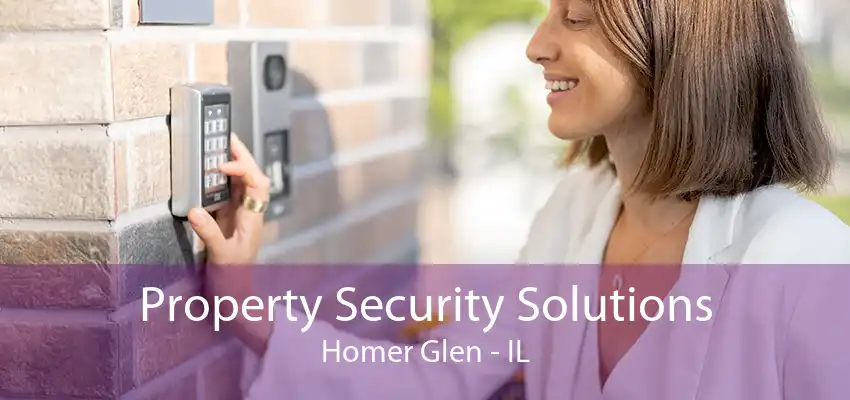 Property Security Solutions Homer Glen - IL